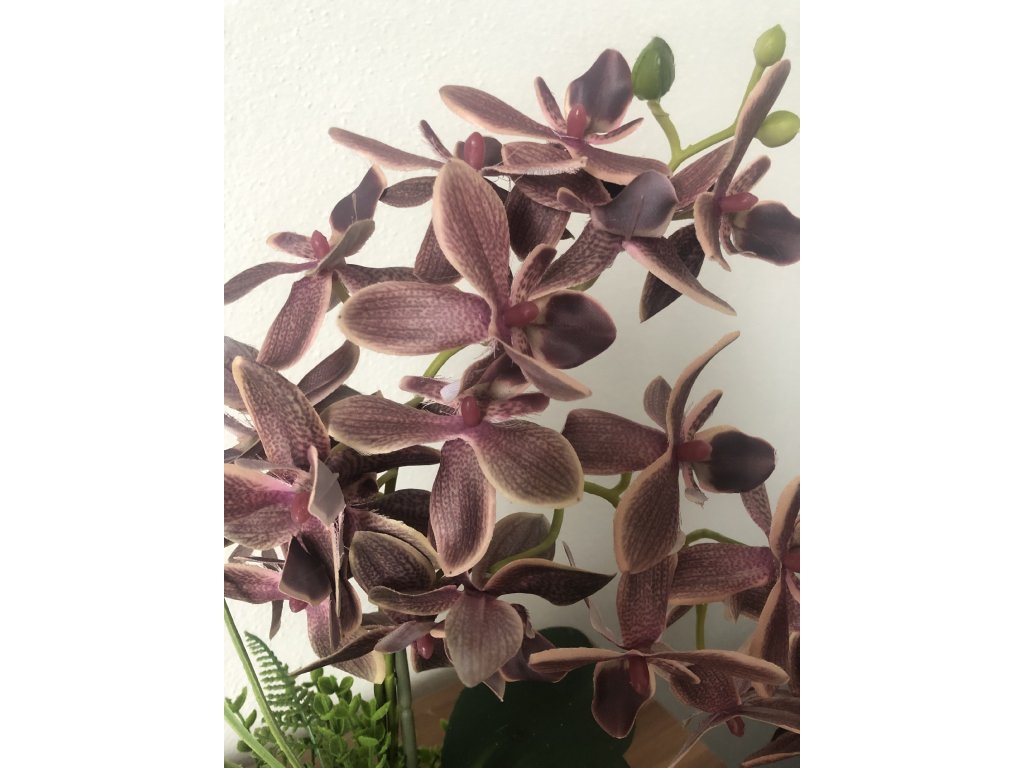 Umělá orchidej v květináči a